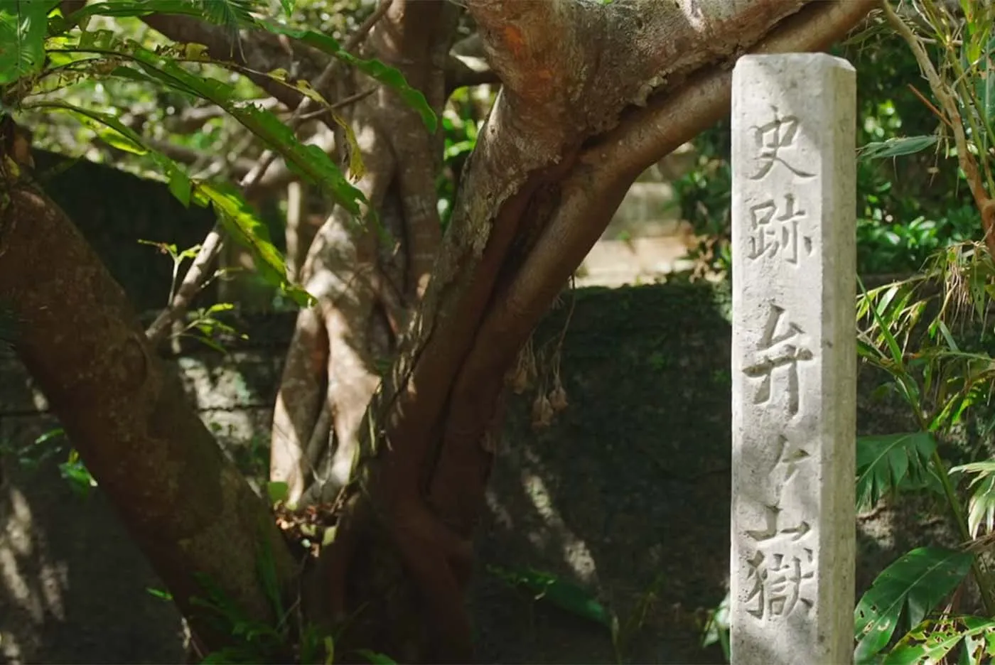 瑞雲同好会 会長 湧川朝紀｜弁之御嶽