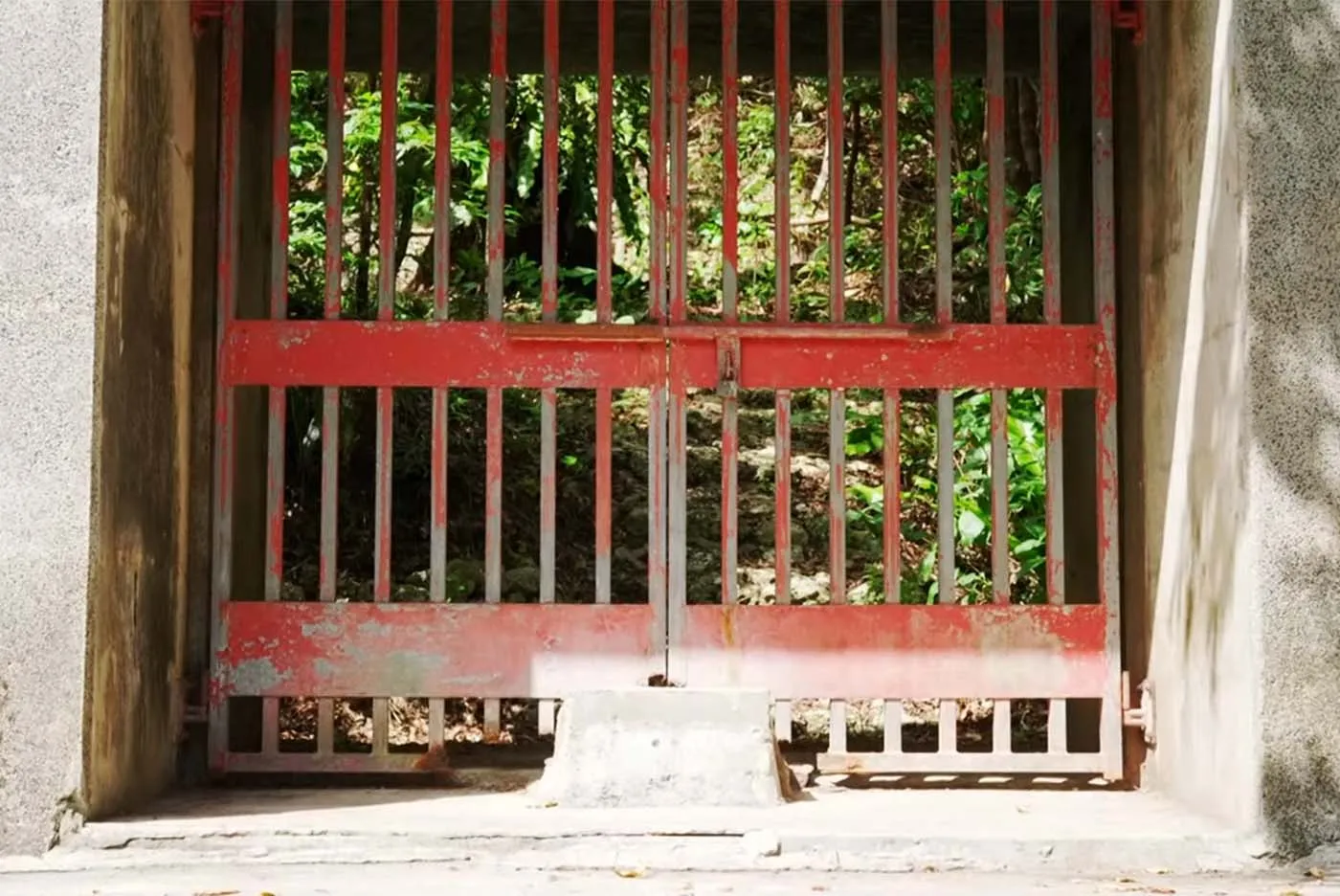 瑞雲同好会 会長 湧川朝紀｜弁之御嶽