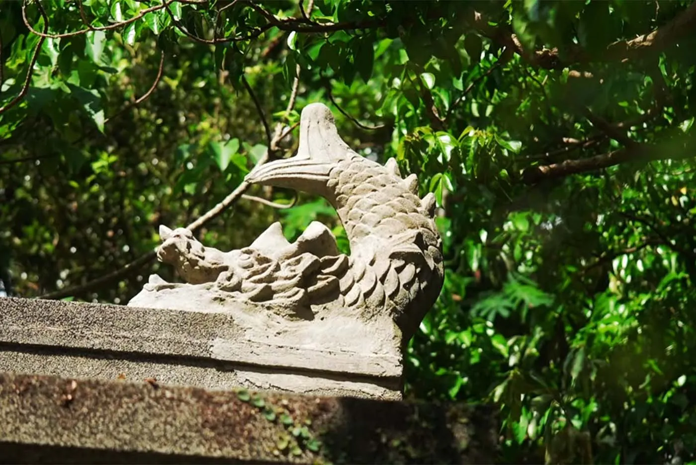 瑞雲同好会 会長 湧川朝紀｜弁之御嶽