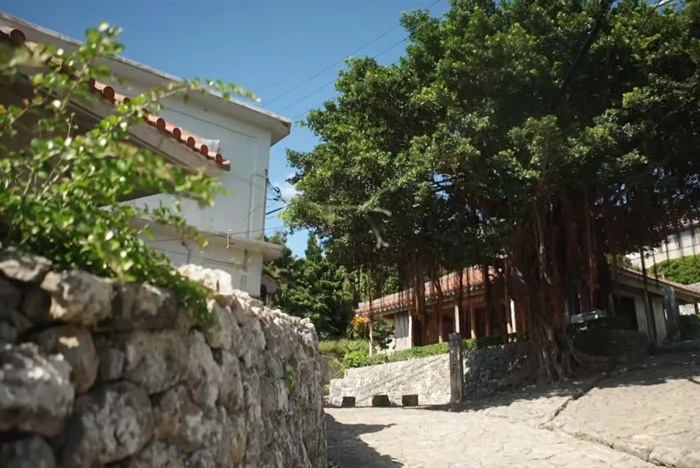 ガレッジセール 川田広樹｜首里金城町 石畳道