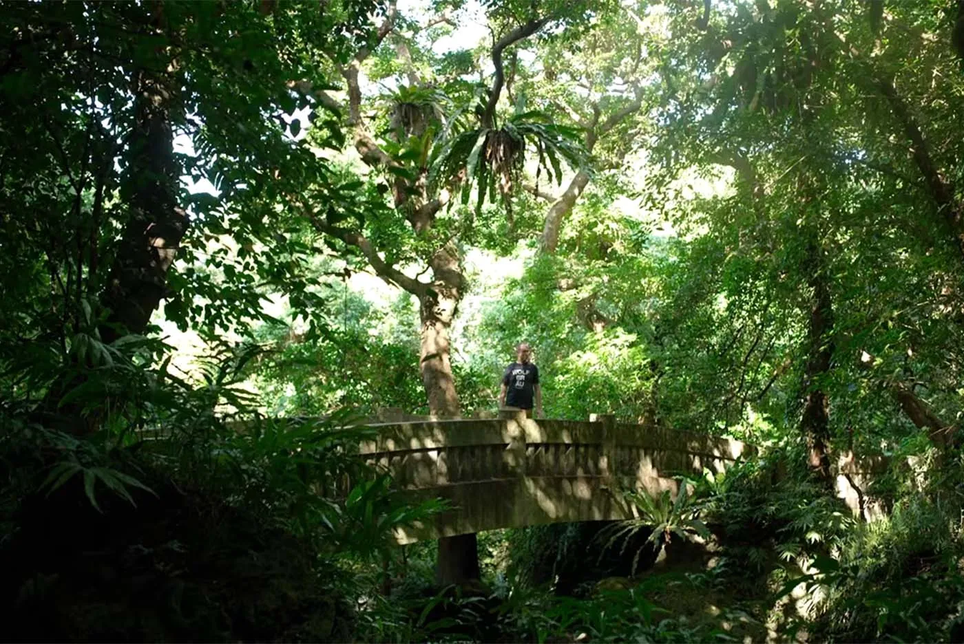 ウォルフブロイ　ウォルフラム・オーピッツ｜末吉公園