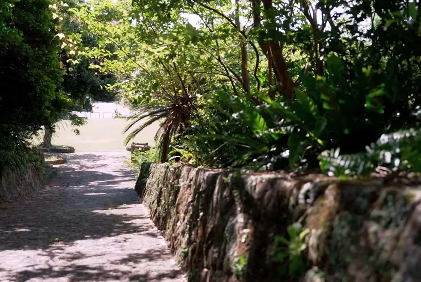 フローリスト花枝 店主 上條 夏樹｜虎頭公園