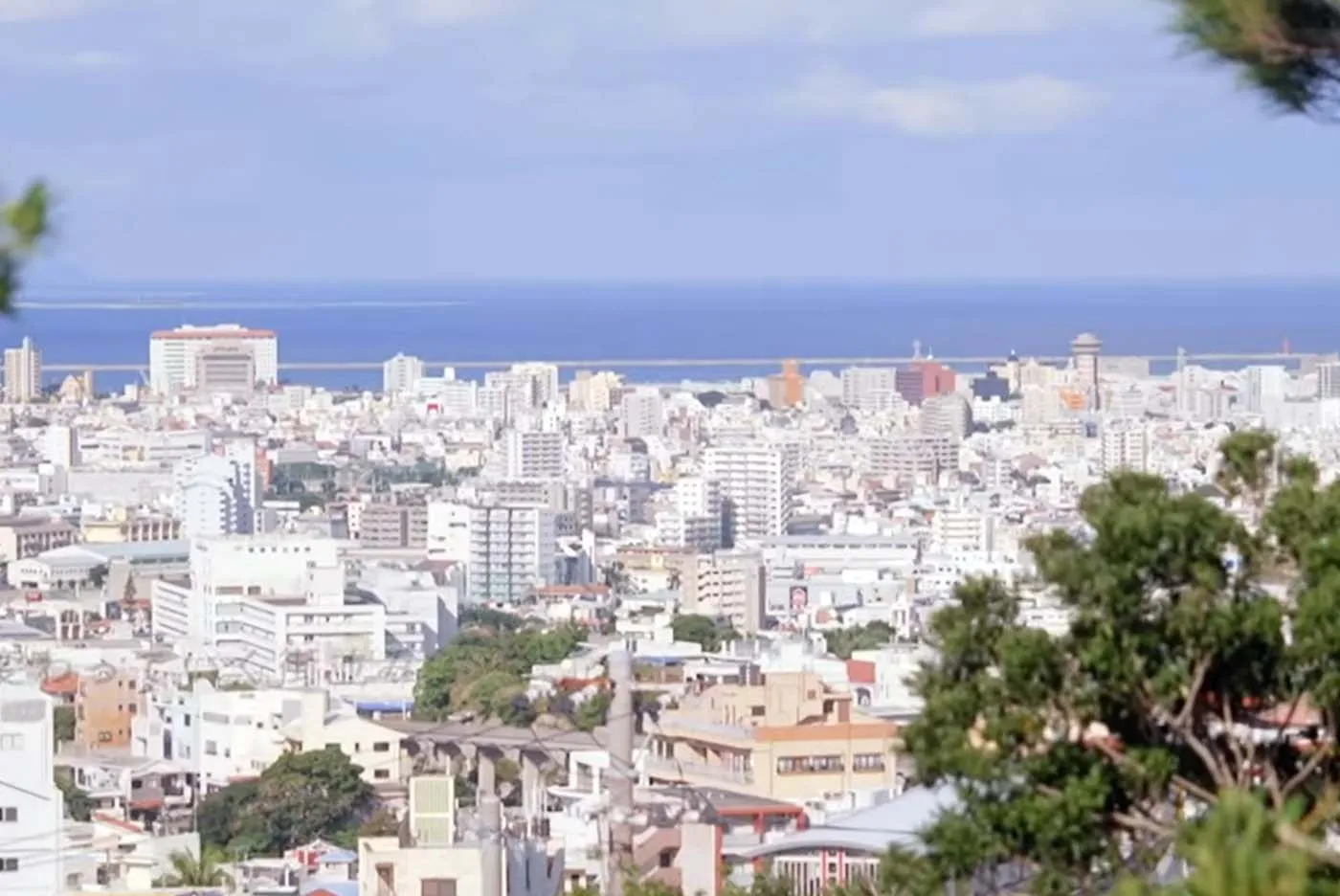 フローリスト花枝 店主 上條 夏樹｜虎頭公園
