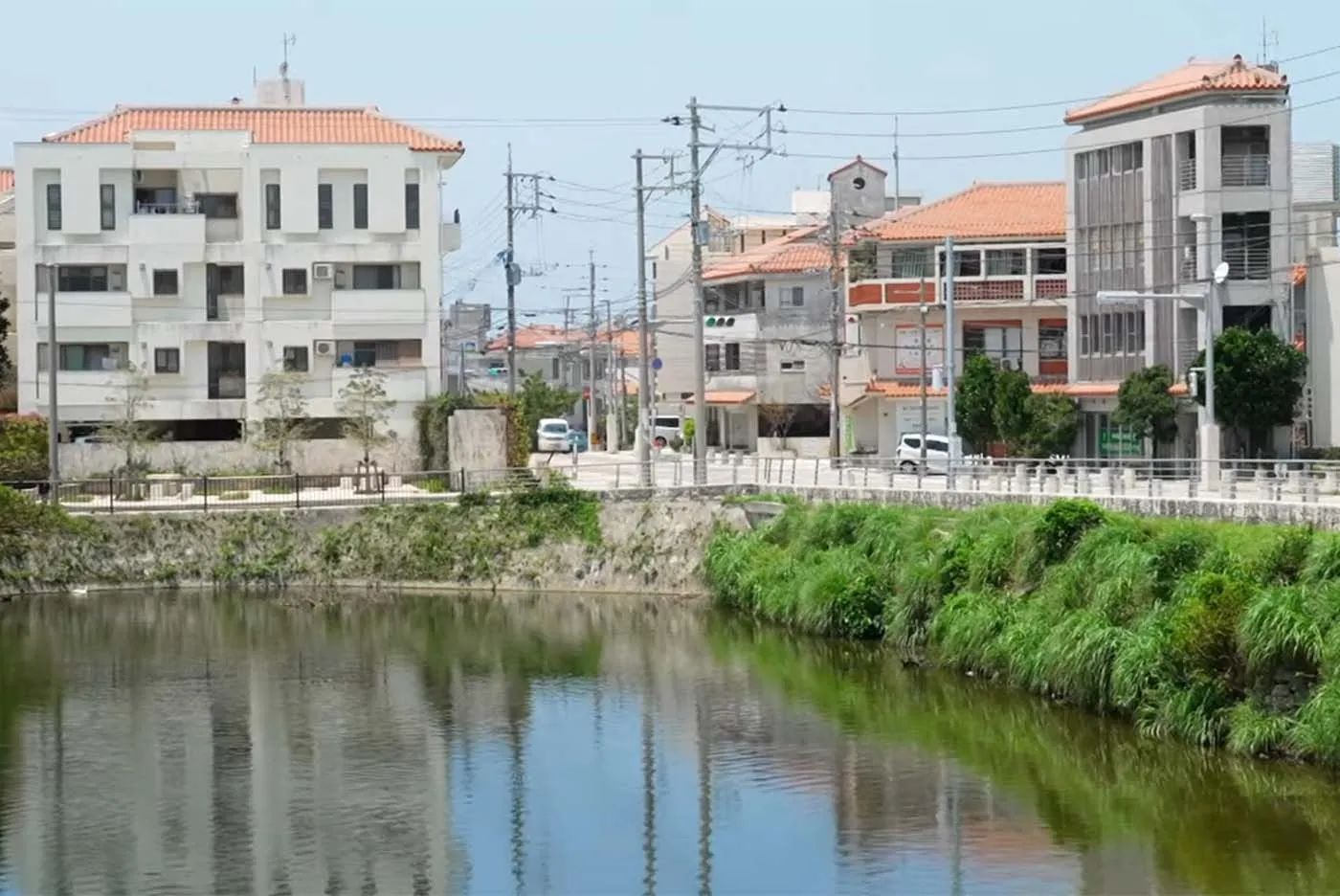 オリジン・コーポレーション代表 首里のすけ｜城西小学校