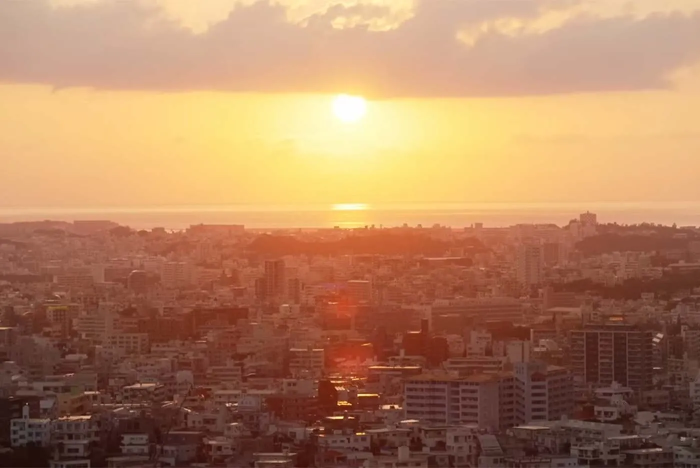 真珠 店主 仲村起代文｜西のアザナ