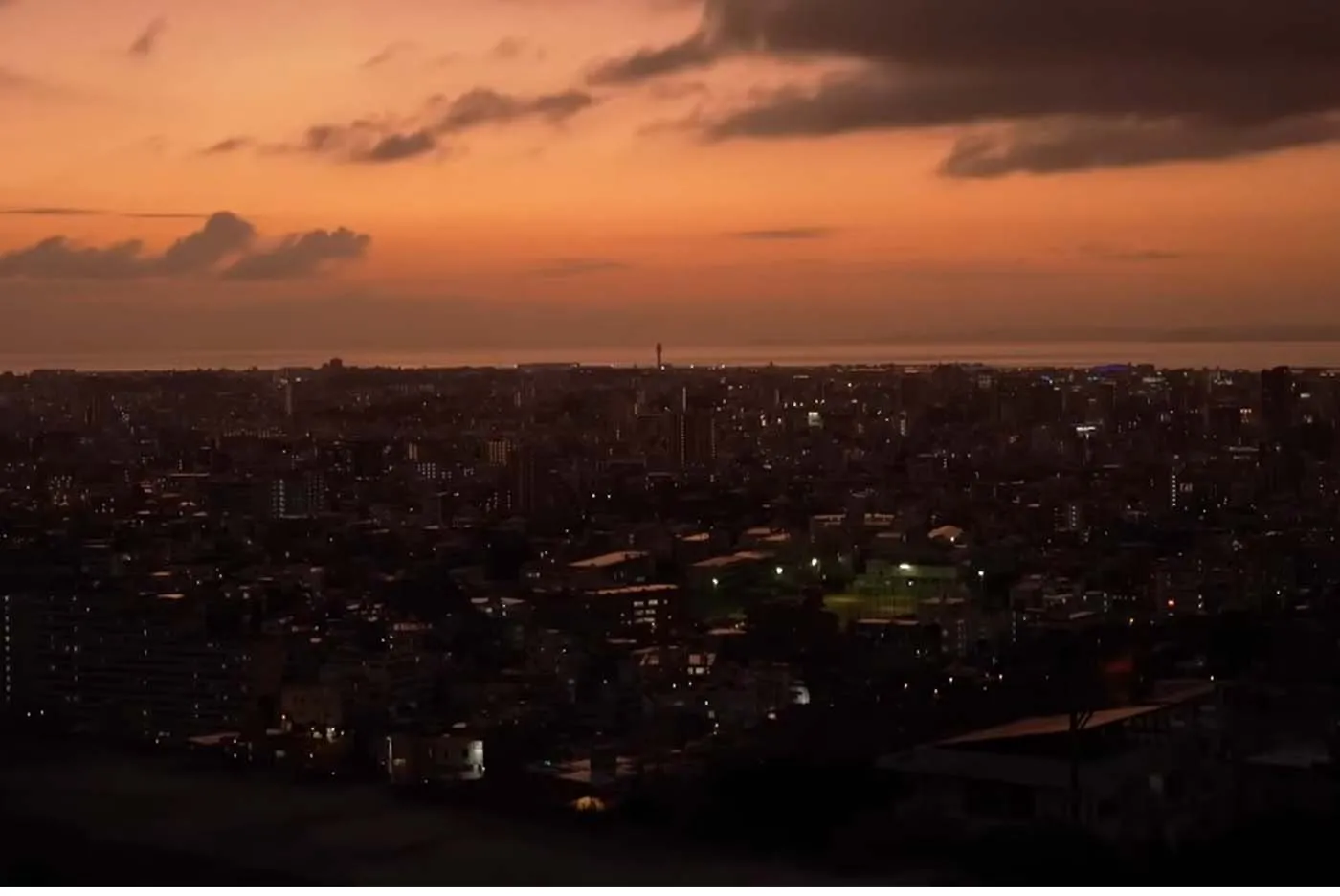 真珠 店主 仲村起代文｜西のアザナ