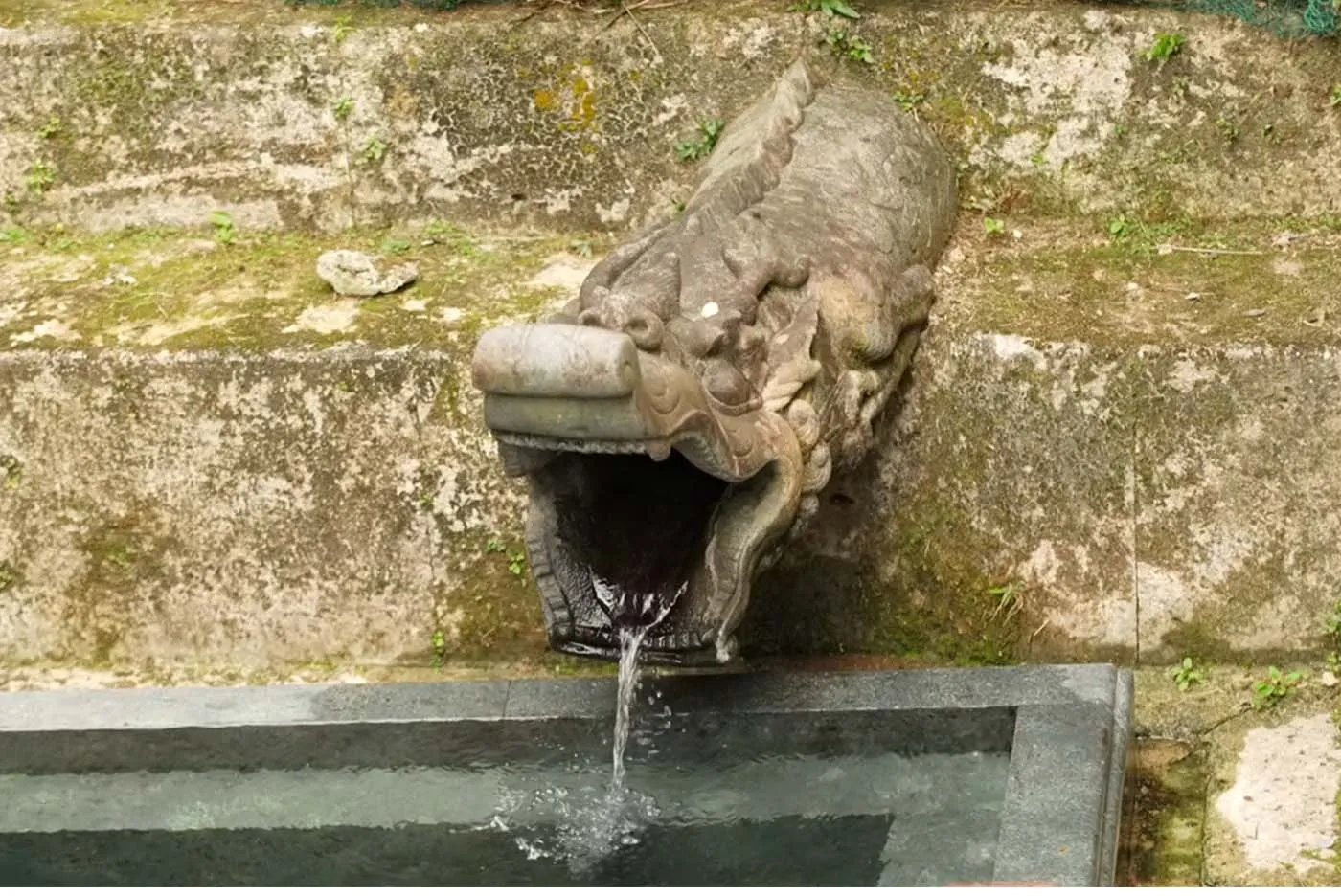 首里琉染 代表取締役 大城裕美｜龍樋