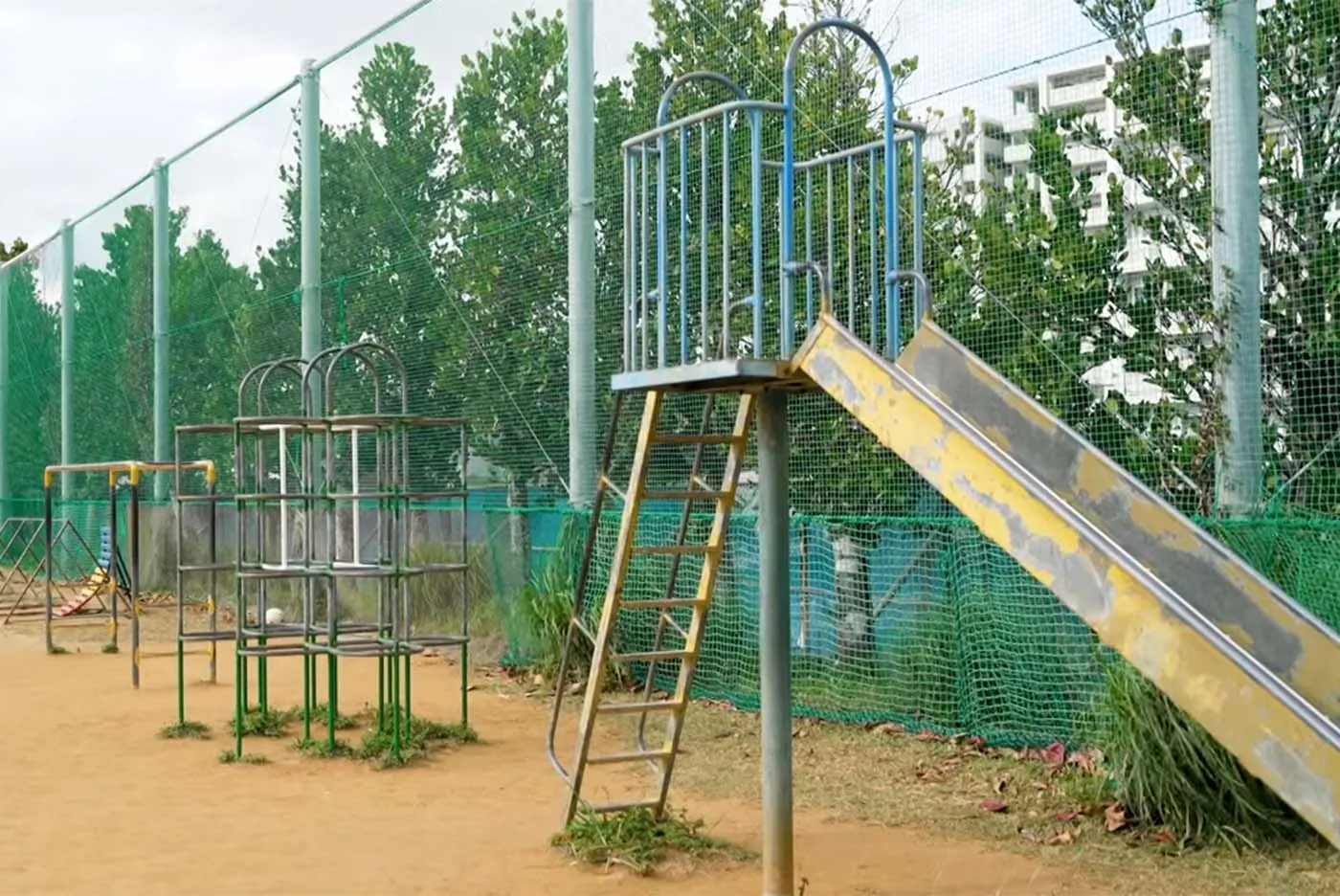 城東小学校｜上江洲珠算学校 上江洲 由樹