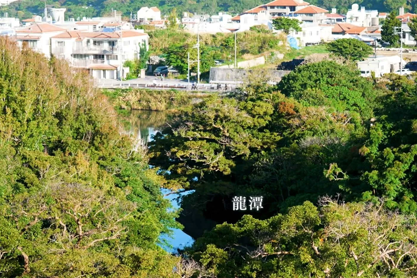 漆職人 諸見由則｜広福門