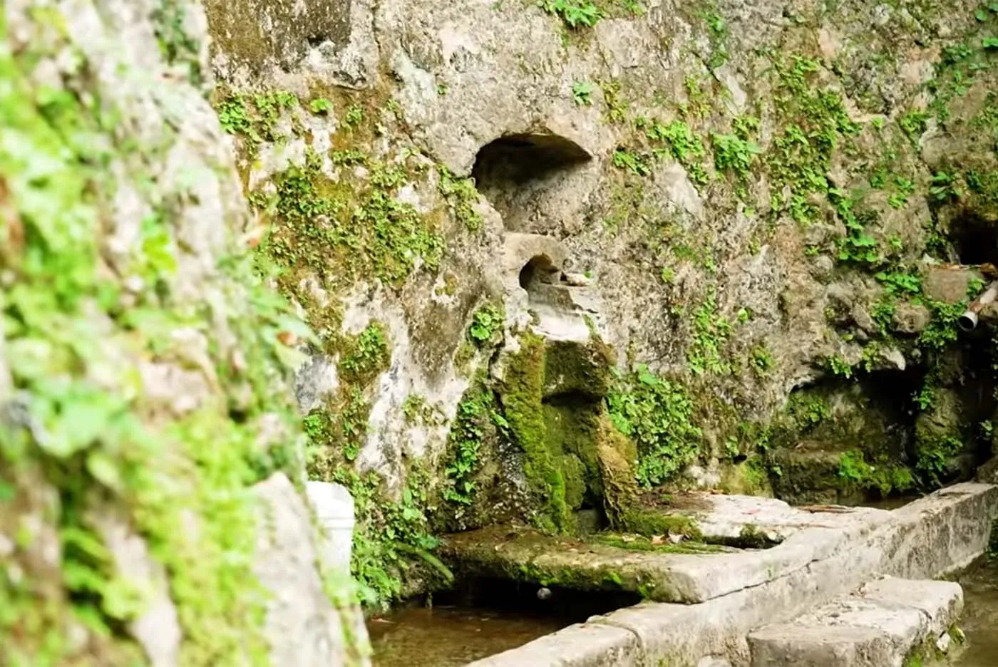 照屋食品 代表取締役社長 照屋ゆきの｜宝口樋川
