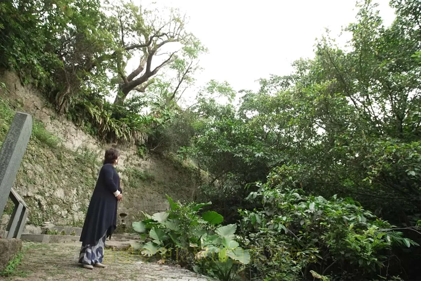 照屋食品 代表取締役社長 照屋ゆきの｜宝口樋川