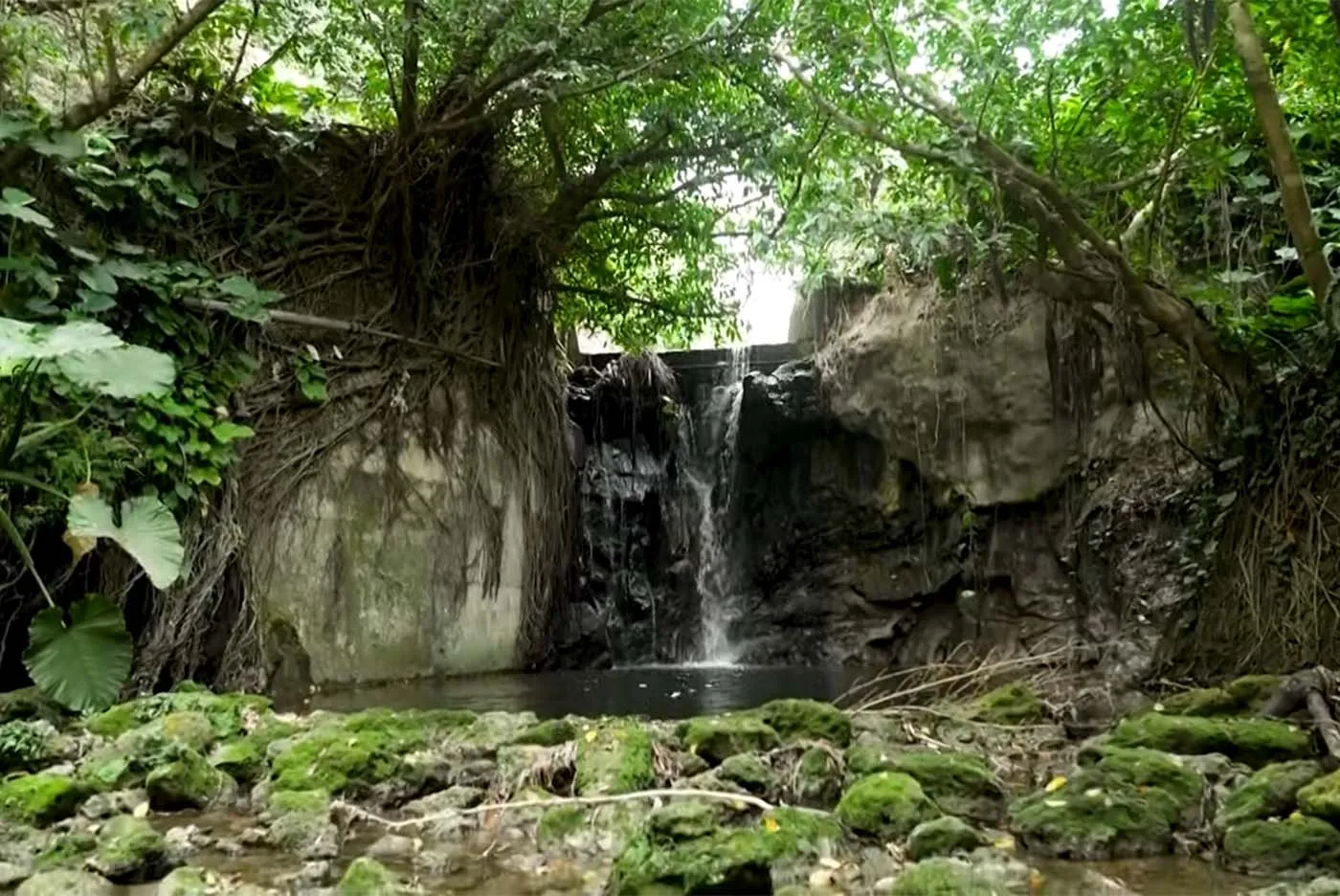 照屋食品 代表取締役社長 照屋ゆきの｜宝口樋川