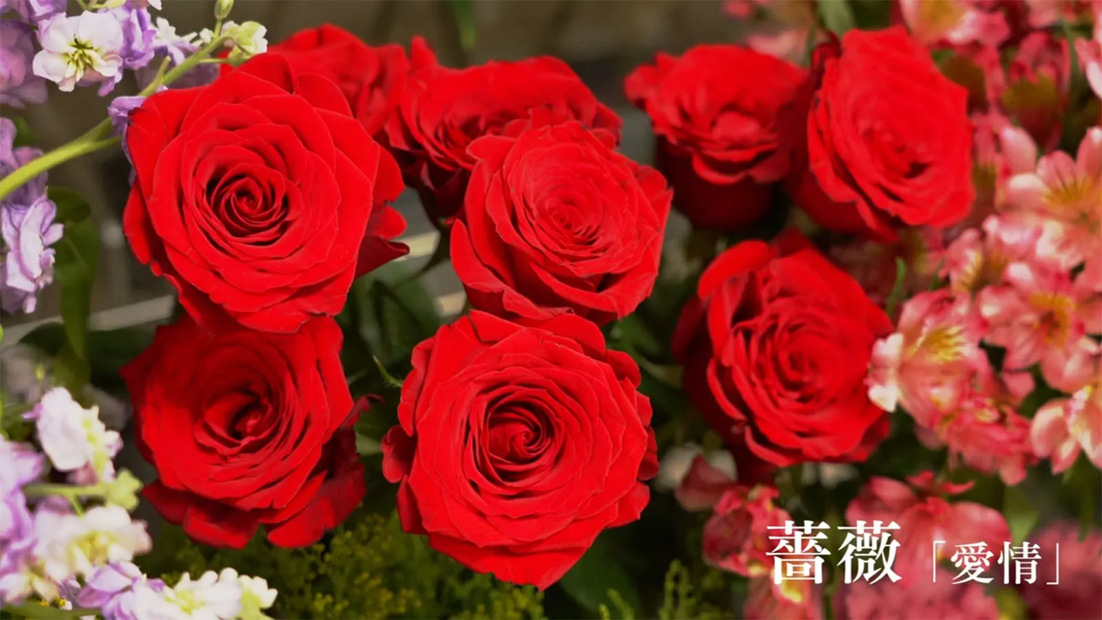 首里にある真心 ─ 首里ガーデン